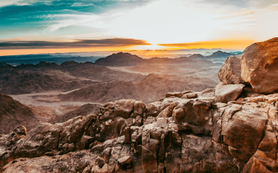 The Way of the Wilderness